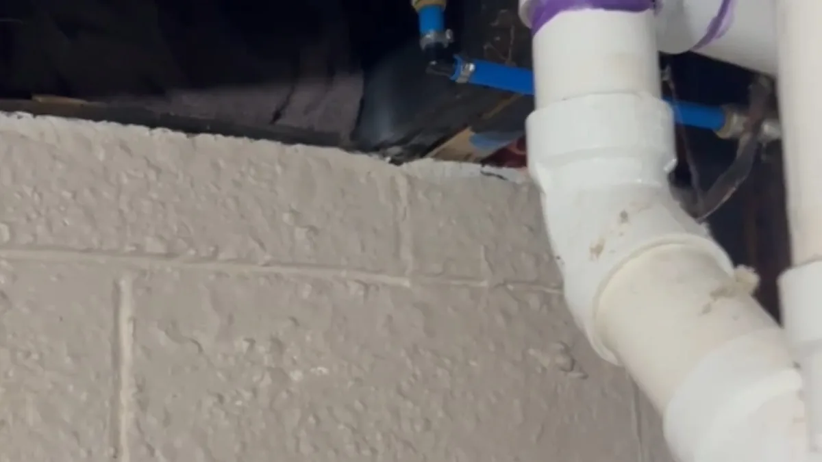 White PVC drain elbow beside a painted block wall with a blue PEX supply line behind it
